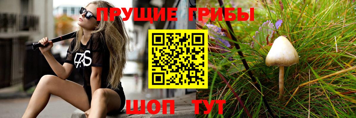 Галлюциногенные грибы GOLDEN TEACHER Калининград